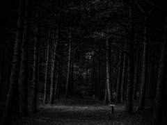 악몽이 현실로 되어버렸다