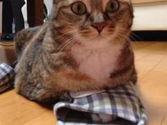 [민사] 직장 내 괴롭힘으로 우울증세가 심해져 자살한 사안에서 보험금 청구를 인정한 판결