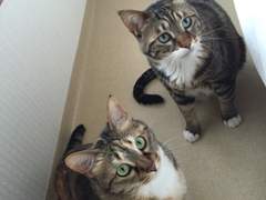 [직장 생활] 상사가 나를 싫어했던 이유는 내가 먼저 싫어했기 때문이었다