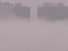 내 복수를 남이 해준 이야기