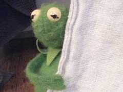 또랑단들.....자...잘 지내고 있지? (엎드려뻗쳐를 하며)