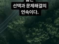 #14. 삶은 선택과 문제해결의 연속