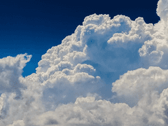 날개의 존재 이유