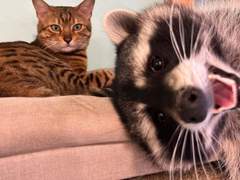 마음을 주세요 下