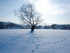 이미 당신은 잘하고 있어요