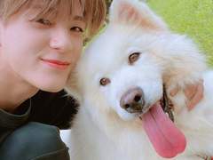 우리집 강아지 上