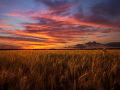 끝, 1년의 기록.