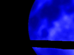 검은 고양이도 행운을 불러올 수 있다지요?