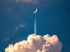 보씨 커뮤 목록