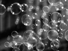 캐들의 여동생인 드림 (남매 드림)