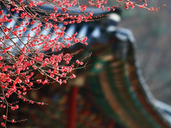 2장, 잠깐 나 좀 봐!