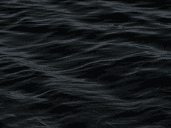 어서 오세요, 신문화기술 부동산에 11