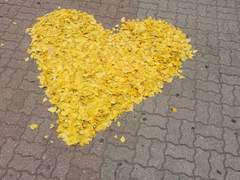 내 생애 첫 짝사랑 下