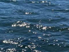 병원 안가고 우울증 극복하는법 (+무기력증)