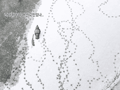 20240118 고민있나