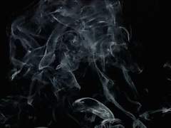 미의 여름은 이미