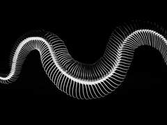 𝕭𝖑𝖆𝖘𝖕𝖍𝖊𝖒𝖞