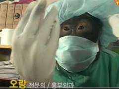 소음순 비대증 수술 후기