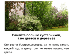 정원만들기 7가지 쉬운 규칙