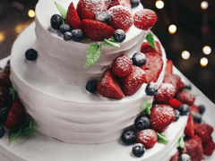 케이크 싫어요! TALK