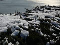 네 하얀 마음이 나를 감싸안았다—.