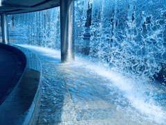 흑백 최비련의 프로필.