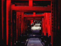 어서 와! 자, 자~ 오늘도 좋은 물건은 많으니까~