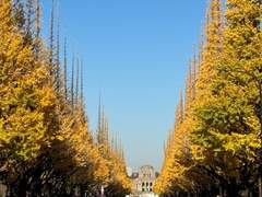 2023.12.07 tokyo 4日目