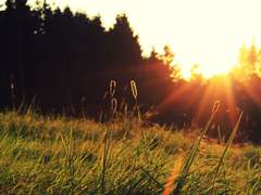 화루커 리뉴얼 프로필