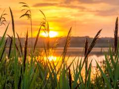 을(乙)일간의 계절별 용신 찾기