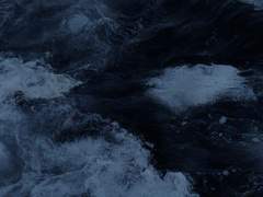 Lexie A. Chronicle / Ravenclaw