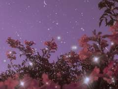 둘 다 내가 아낀다는 점.