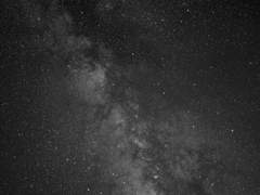 [준혁지혜] 우리를 인간으로 만드는 것은