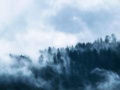 [망기무선] 구주삼괴 衢州三怪