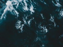 진실과 거짓의 모순관계 (1)