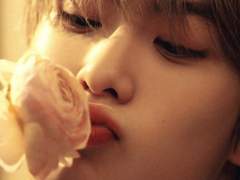 발렌타인의 반란 +