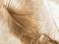 [미수반] 천사를 위한 레퀴엠 (예고편)