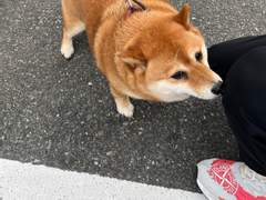 NCT의 공주님 In Istagram 03