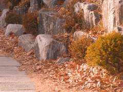 즐겁지 않은 일들