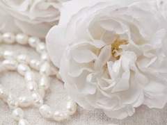 훗날 자라 꽃을 피우고 열매를 맺을, 아직은 여린 싹.