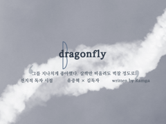 드래곤플라이 - 5
