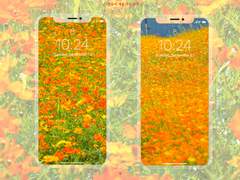 가을의 색을 가득 담아