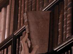 세러신 H. 로저스