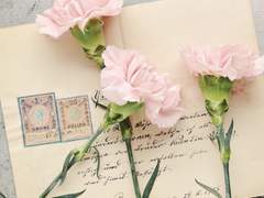 내일도 흐렸고 어제도 맑았으니 오늘은 눈이 내릴까요?