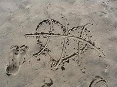 육백 그램의 중력을 넘어