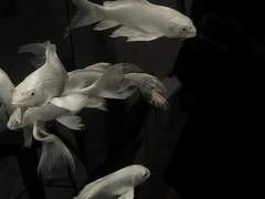 유서 깊은 가문의 맏딸이다. 그런 곳의 부담감과 압박이 만들어낸 결과물이기도 하고.