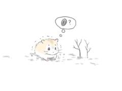 곰돌이랑 햄찌니의 전생