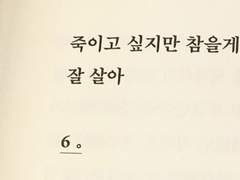 백 범 白 犯 / XY / 36