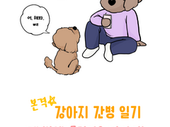 본격☆강아지 간병 일기
