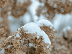 0001. 나는 오늘 마시고, 먹고, 쉬었다.